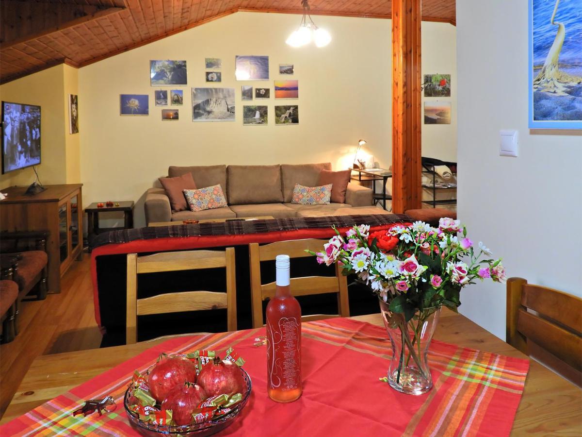 Appartement Panoramaloft - Quality, View, Sea & Mountain à Litochoro Extérieur photo